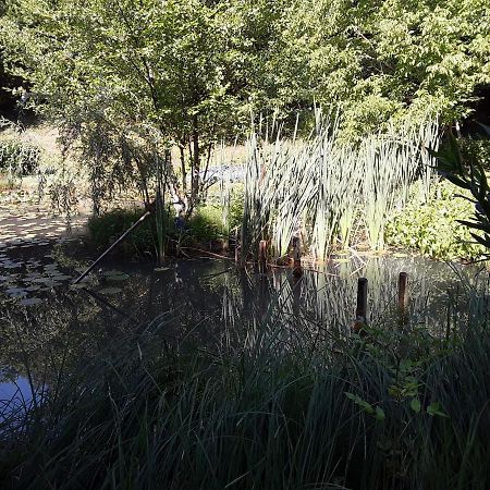 Le Chalet De La Grenouille Verte Tursac 외부 사진